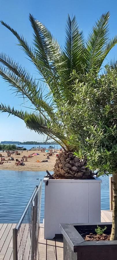 'T Uiltje Βίλα Ermelo Εξωτερικό φωτογραφία
